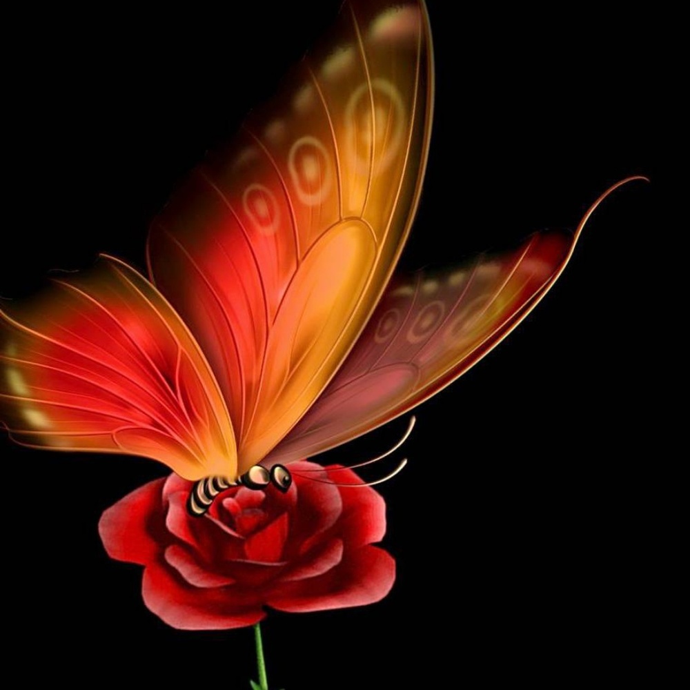 Meet your Posher, Karen